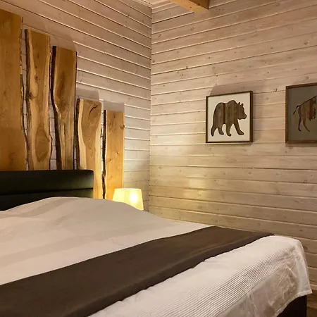 Blockhaus Kik Im Harz Tatil Evi Sankt Andreasberg