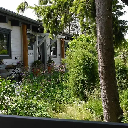 Blockhaus Kik Im Harz Ferienhaus *